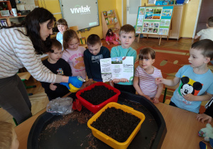 Wspólne zakładanie hodowli pieczarek zgodnie z instrukcją.
