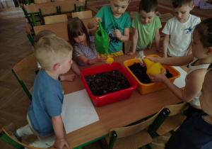 Codzienna obserwacja zmian zachodzących w hodowli.