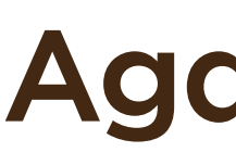Logo firmy z napisem Agaris.