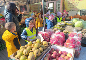 Misiaczki oglądają owoce i warzywa na pobliskim ryneczku.