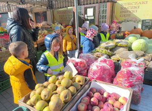 Skąd się biorą produkty ekologiczne? – program edukacyjny