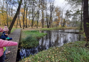 Przedszkolaki obserwują kaczki na stawie.