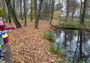 Dzieci z zainteresowaniem obserwują zwierzęta i rośliny rosnące wokół stawu.