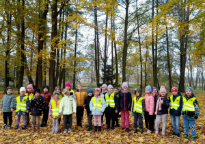 Przedszkolaki podziwiały piękne jesienne drzewa.