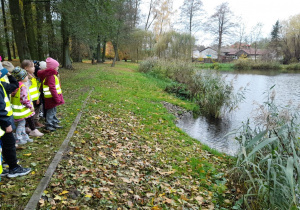 Dzieci z uwagą obserwowały otoczenie stawu.