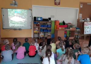 Dzieci oglądają prezentację o różnych rodzajach ryb.