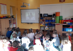 "Misiaczki" oglądają fotografię głuszca i słuchają informacji na jego temat.