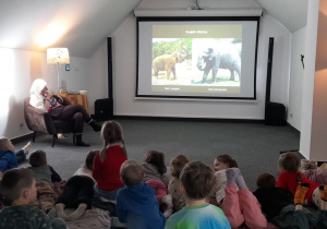 Dzieci szukają różnic między słoniami z różnych kontynentów.