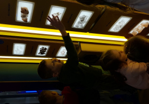 Dzieci dotykają różne próbki soli oraz obserwują ich kryształową strukturę.