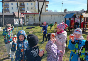 Misiaczki szukają w ogrodzie czekoladowych jajek.