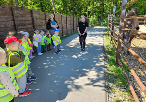 Pani Przewodnik opowiada dzieciom ciekawostki o wielbłądach