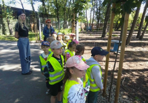 Grupa stoi przy wybiegu karibu i obserwuje zwierzęta.