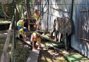 Dzieci rozwijają swoją sprawność oraz koordynację ruchową pokonując tor z desek i zręcznie omijając liny.