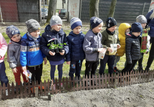 Słoneczka biorą udział w akcji |" Zróbmy razem coś zielonego" - wspólne sadzenie roślin w ogrodzie przedszkolnym