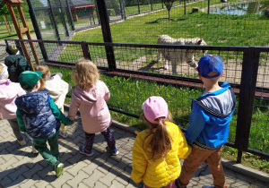 Widzieliśmy też białe tygrysy.