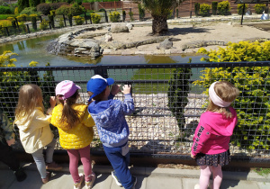 Amelka, Maja, Antoś i Julia przyglądają się krokodylom.