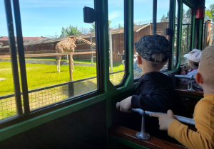 Biedronki oglądają z pociągu żyrafę.
