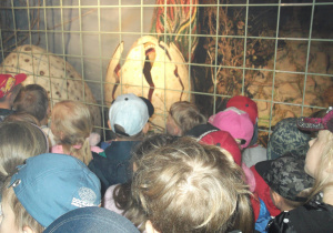 Przedszkolaki oglądają narodziny dinozaura.