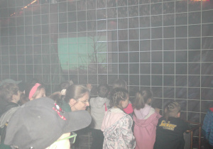 Dzieci w grocie oglądają wybuch wulkanu.