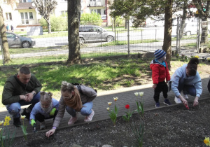 Rodzice Lenki N. i mama Kuby pomagają dzieciom w sadzeni cebulek kwiatów.