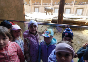 Dzieci podziwiają ogromnego słonia.