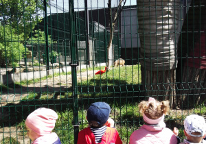 Dzieci podziwiają kolory ibisa szkarłatnego i przyglądają się kapibarze wielkiej.