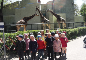 Przedszkolaki wraz z trzema żyrafami pozują do zdjęcia.