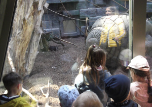 Dzieci przyglądają się wesołym zabawom makaków.
