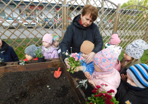 Uśmiechnięte dzieci sadzą kwiaty pod okiem pani Reni.