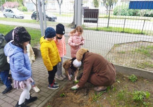 Maja z panią Anią kończą sadzenie kwiatów.