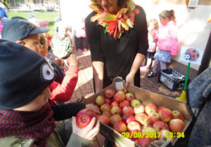 Pani Renia częstuje wszystkie dzieci jabłkami