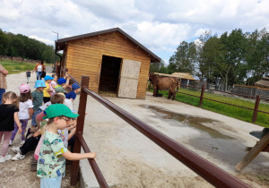 Dzieci oglądają największą oślicę na świecie.