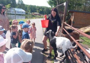 Pani przewodnik pokazuje jak należy obchodzi cie ze zwierzętami.