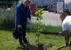 Tatuś Jasia podlewa roślinę.