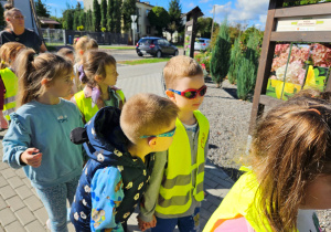 Dzieci z grupy "Biedronek" podziwiają jesienne kwiaty.