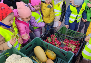 Dziewczynki i chłopcy oglądają kabaczki i cukinie.