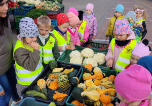 Przedszkolaki patrzą na kolorowe ozdobne dynie.