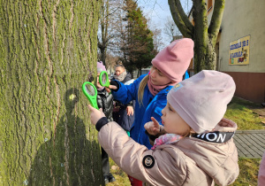 Dziewczynki przez lupy oglądają korę drzewa.