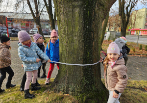 Dzieci mierzą grubość pnia drzewa.