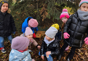 Dzieci oglądają domek dla jeża w ogrodzie przedszkolnym