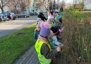 Dzieci na ulicy Pułaskiego oglądają pączki liści na gałązkach krzewów.