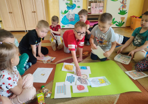 Nikoś dopasowuje obrazek do hasła ekologicznego.