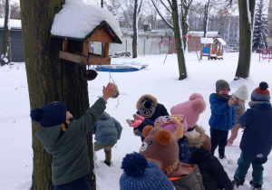 Nikodem wiesza słoninkę dla sikorek.