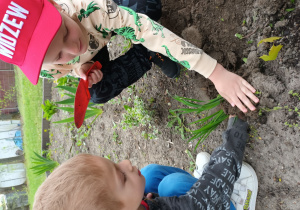 Klemens wraz z Leonem O. sadzą kwiaty na rabacie.