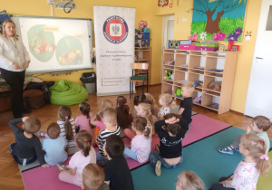 Zdjęcie 1 na 5