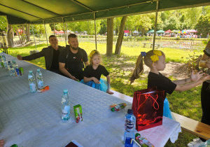 Zdjęcie 15 na 15