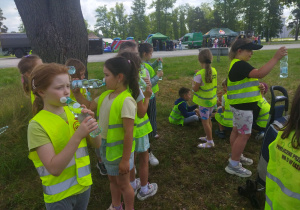Zdjęcie 8 na 30