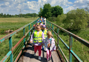 Zdjęcie 8 na 10