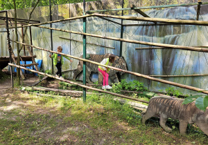Zdjęcie 35 na 76