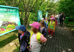 Zdjęcie 1 na 3